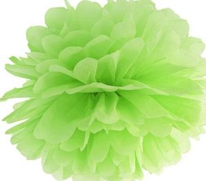 Party Deco Pompon bibułowy, zielone jabłuszko, 35 cm uniwersalny 1