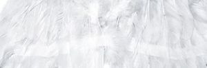 Skrzydła anioła - przebranie, biały, 53x37cm uniwersalny 1