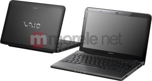 Laptop Sony Vaio SVE1113M1EB 5