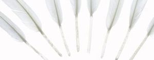 Party Deco Piórka dekoracyjne, białe, 10-16 cm, 6 szt. uniwersalny 1