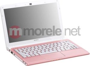 Laptop Sony Vaio SVE1113M1EP 1
