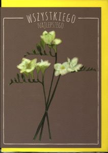HENRY Karnet Kwiaty MIX /frezje,rumianki.../ 1
