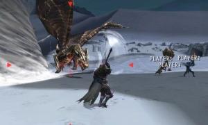 Monster Hunter 4 Ultimate Nintendo 3DS 10