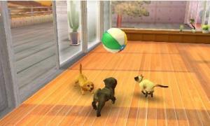 Nintendogs + Cats - French Bull & new Friends Select Nintendo 3DS 2