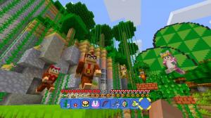 Minecraft Wii U 5