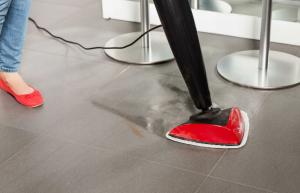 Mop parowy Vileda Steam + Power Pad 14