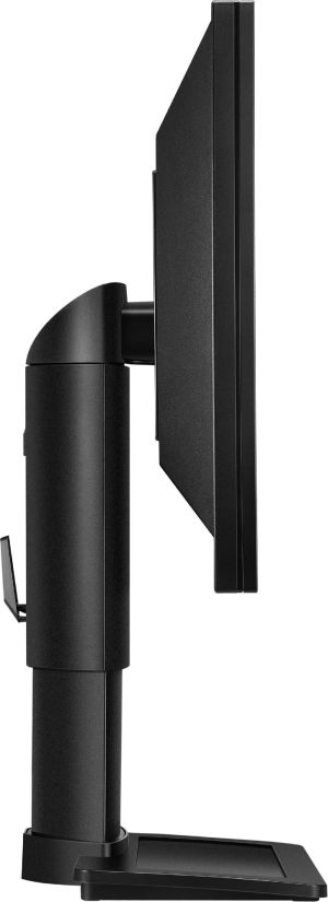 Monitor BenQ BL2411PT 11