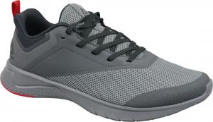 Reebok Buty męskie Print Lite Rush 2 szare r. 40 (CN6213) 1