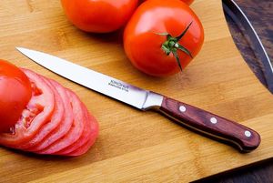 KingHoff STALOWY NÓŻ UNIWERSALNY KINGHOFF KH-3437 12cm 2