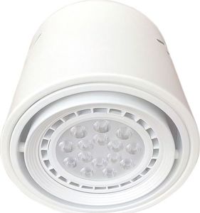 Lampa sufitowa Eko-Light LAMPA SUFITOWA TUBO 1x12W LED AR111 1