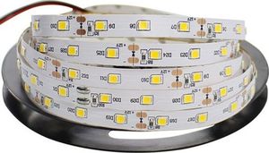Taśma LED Eko-Light 2.5m 60szt./m 4.8W/m 12V  (EKPL568) 1
