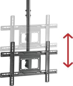Maclean Uchwyt sufitowy MC-803 23'' - 100'' 4