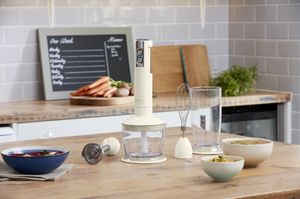 Blender Swan SP21040HO 2