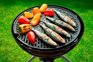 Cadac Płyta do grillowania_ Grillogas uniwersalny 2