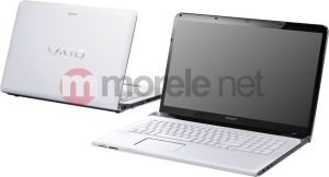 Laptop Sony Vaio SVE1713E1EW 3