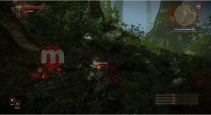 Wiedźmin 2 Zabójcy Królów Classics Xbox 360 13