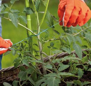 Bradas drut ogrodniczy z obcinaczem 20m uniwersalny (TYD1X20) 2