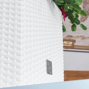 Prosperplast Skrzynka Rato low biała 20x20 cm 3