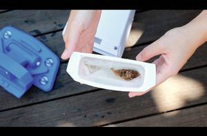 Odkurzacz przemysłowy Bestway bezprzewodowy odkurzacz do czyszczenia basenów (58427) 14