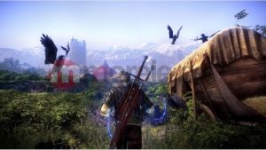 Wiedźmin 2 + puzzle Triss PC 4