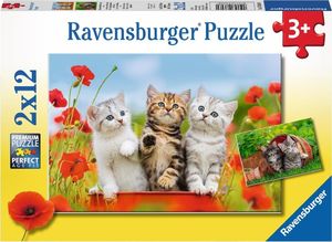 Ravensburger Puzzle 2x12 elementów - Koty, Przygoda 1