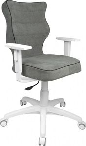Krzesło biurowe Entelo Duo Alta Szary 1
