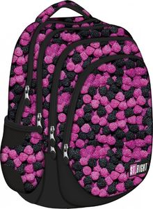 St. Majewski Plecak 4-komorowy BP-06 Owoce leśne 2