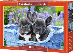 Castorland Puzzle 1000 elementów - Szczeniaczki buldoga francuskiego 1
