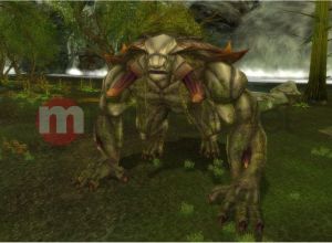 Runes of Magic - MMORPG bez abonamentu PC 12