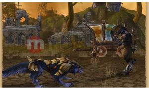 Runes of Magic - MMORPG bez abonamentu PC 9