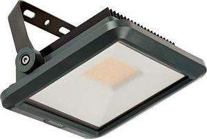 Naświetlacz Philips Projektor LED 20W BVP154 LED21/840 2100lm PSU VWB CE 911401730452 1