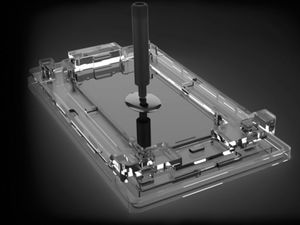 Whitestone Dome Glass do Samsung Galaxy S10 Plus Clear uniwersalny 5