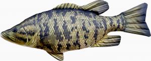 Gaby Poduszka Ryba Bass małogębowy 35cm 1