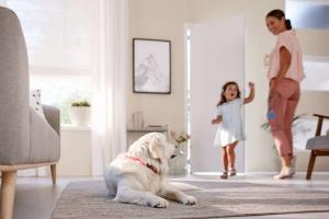 Odkurzacz pionowy Philips SpeedPro Max FC6812/01 10