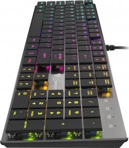 Klawiatura Genesis Thor 420 RGB Slim Content Blue (NKG-1587) 2
