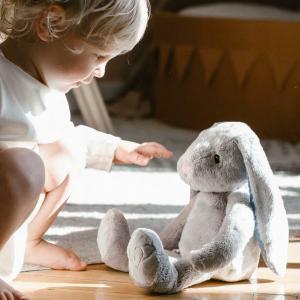 Whisbear Szumiący Króliś Felek szary 2