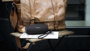 Głośnik Philips EverPlay BT6900B/00 10