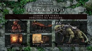The Elder Scrolls Online Collection: Blackwood Xbox Series X 6