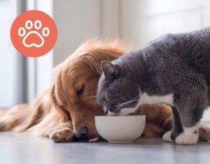 Leitz Filtr dla właścicieli zwierząt HEPA (3 w 1) Leitz TruSens Z-1000 4