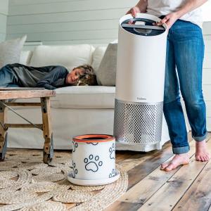 Leitz Wymienny węglowy filtr dla właścicieli zwierząt Leitz TruSens Z-3000 3