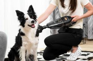 Odkurzacz ręczny Concept Solution  Wet & Dry Riser Extension VP4353 5