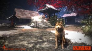 Arashi Castle of Sin PS4 25