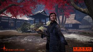 Arashi Castle of Sin PS4 5