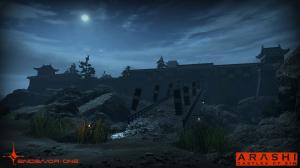 Arashi Castle of Sin PS4 8