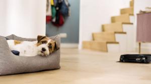 Robot sprzątający Miele Scout RX3 4