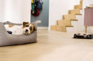 Robot sprzątający Miele Scout RX3 HomeVision 10