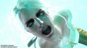 Wiedźmin 3: Dziki Gon Nintendo Switch 8