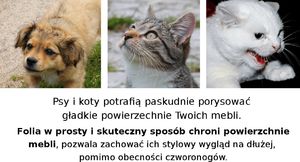 Stamal Folia ochronna do drzwi mebli 152x80cm PET GUARD uniwersalny 4