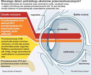 Banz Okulary przeciwsłoneczne dzieci 2-5lat UV400 BANZ uniwersalny 6