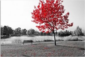 Feeby Obraz na płótnie - Canvas, Czerwone liście na drzewie 40x30 1
